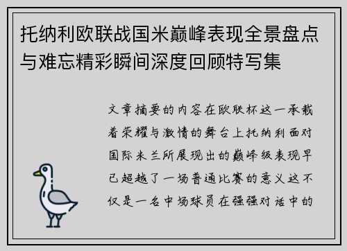 托纳利欧联战国米巅峰表现全景盘点与难忘精彩瞬间深度回顾特写集