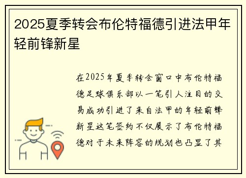 2025夏季转会布伦特福德引进法甲年轻前锋新星