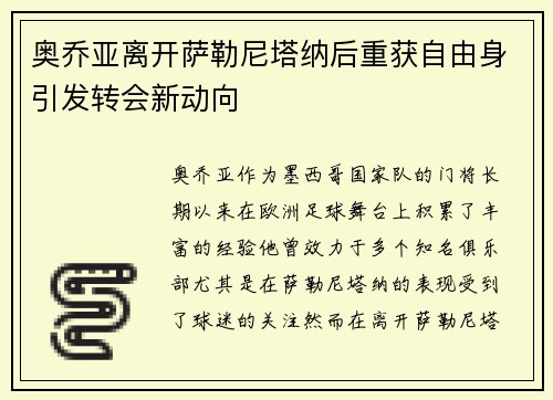 奥乔亚离开萨勒尼塔纳后重获自由身引发转会新动向 奥乔亚离开萨勒尼塔纳后重获自由身引发转会新动向